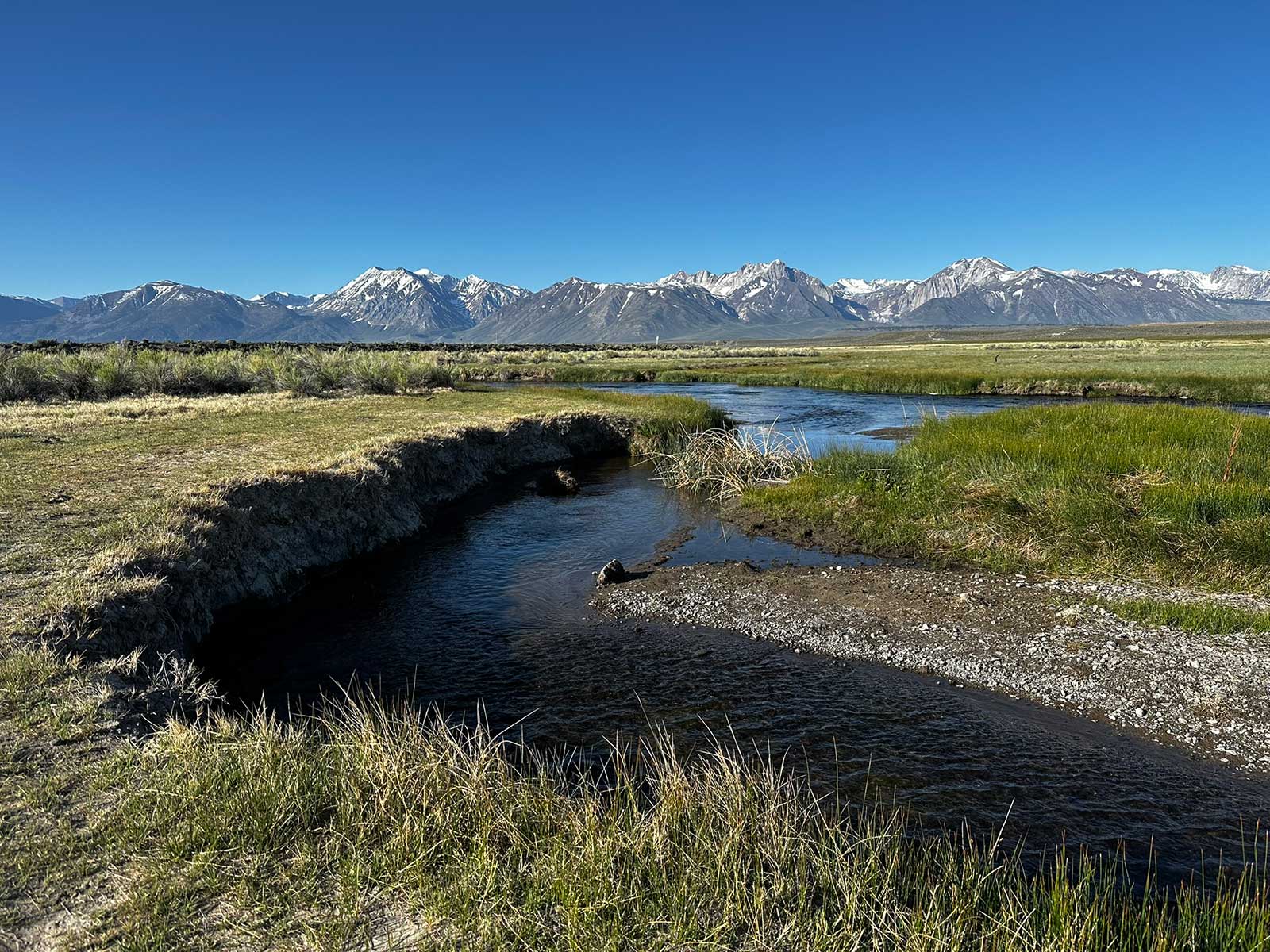 Meandering stream through green valley with snowy Sierra peaks