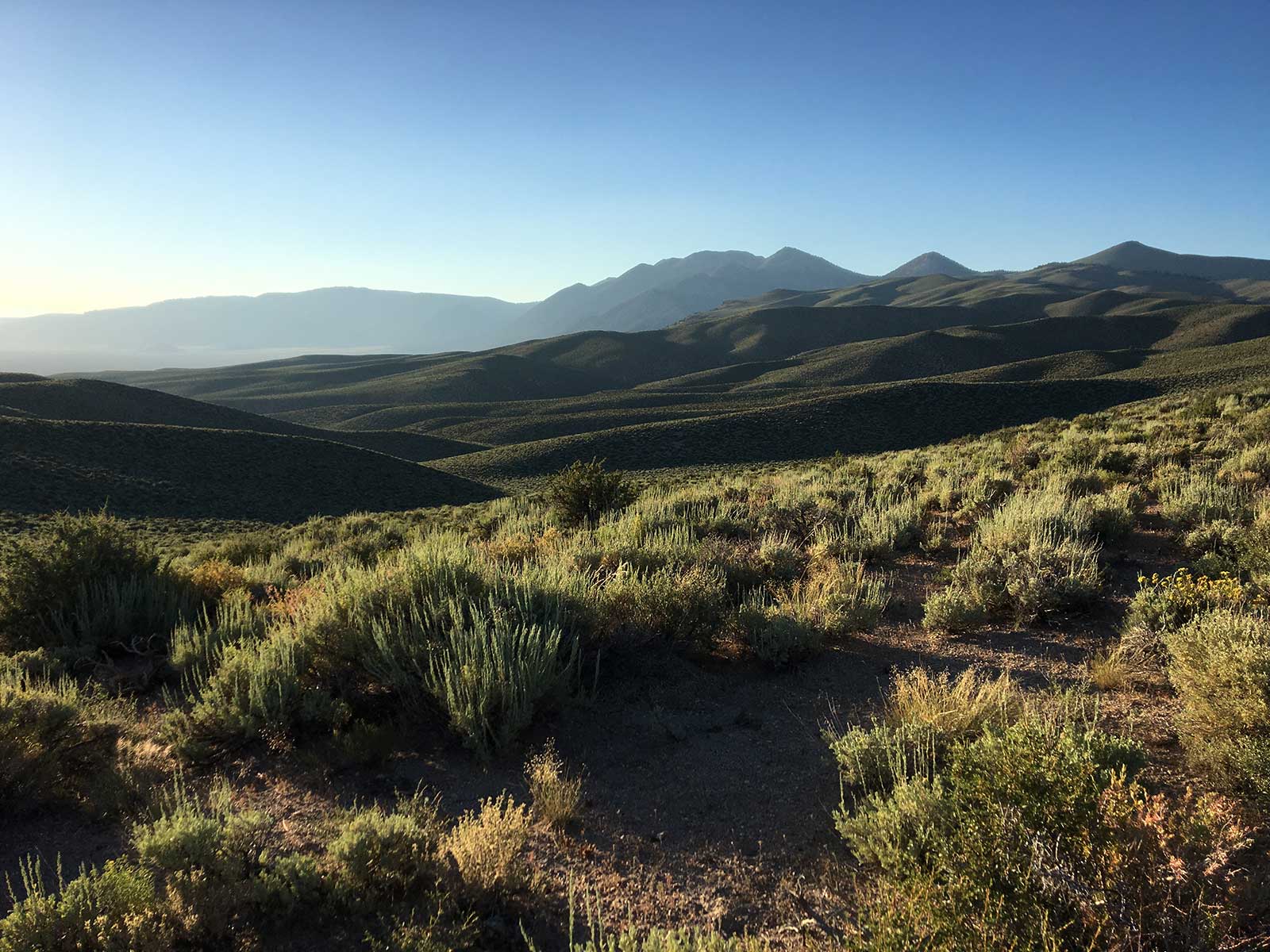 Rolling sagebrush hills at dawn with distant mountain ridges