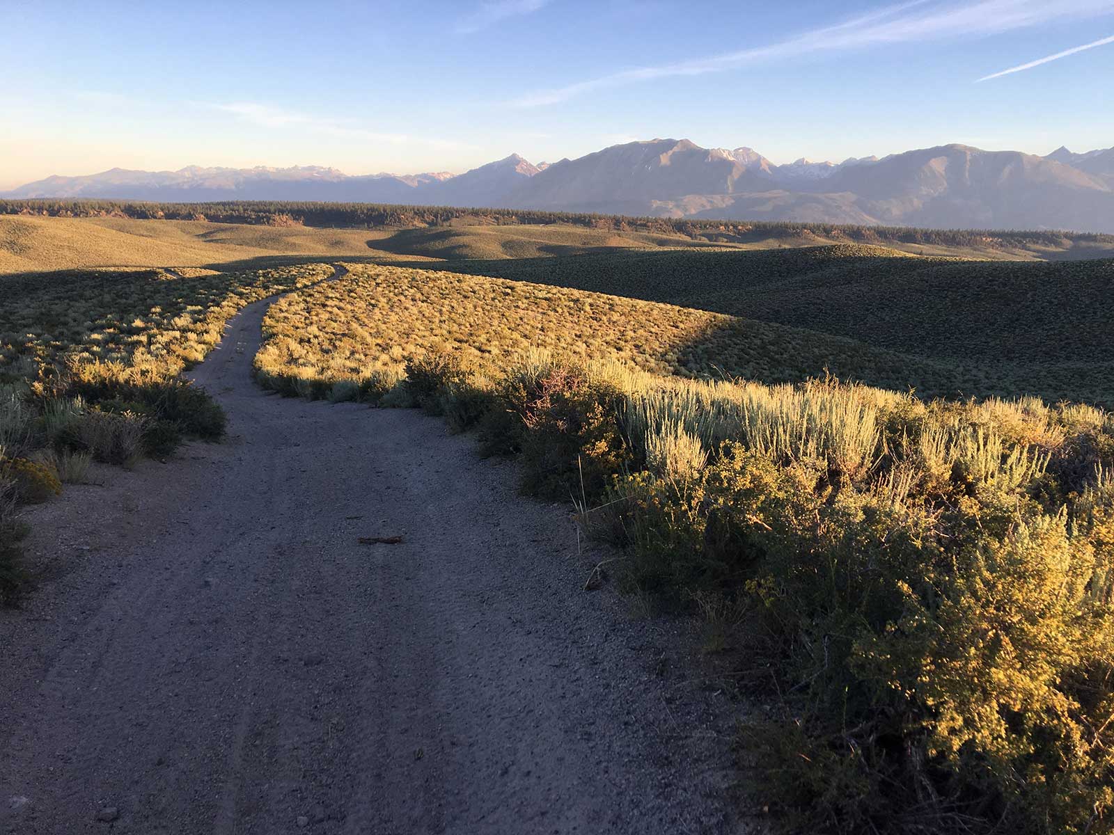 Winding desert road through sagebrush at golden hour