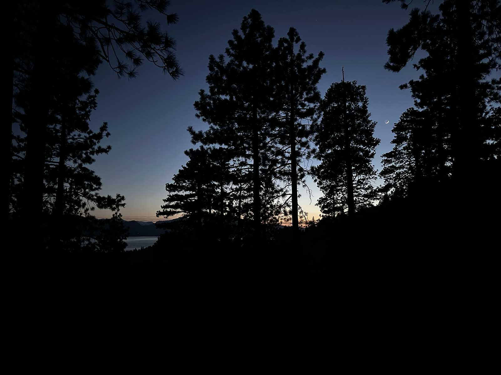 Pine silhouettes at twilight with crescent moon and lake