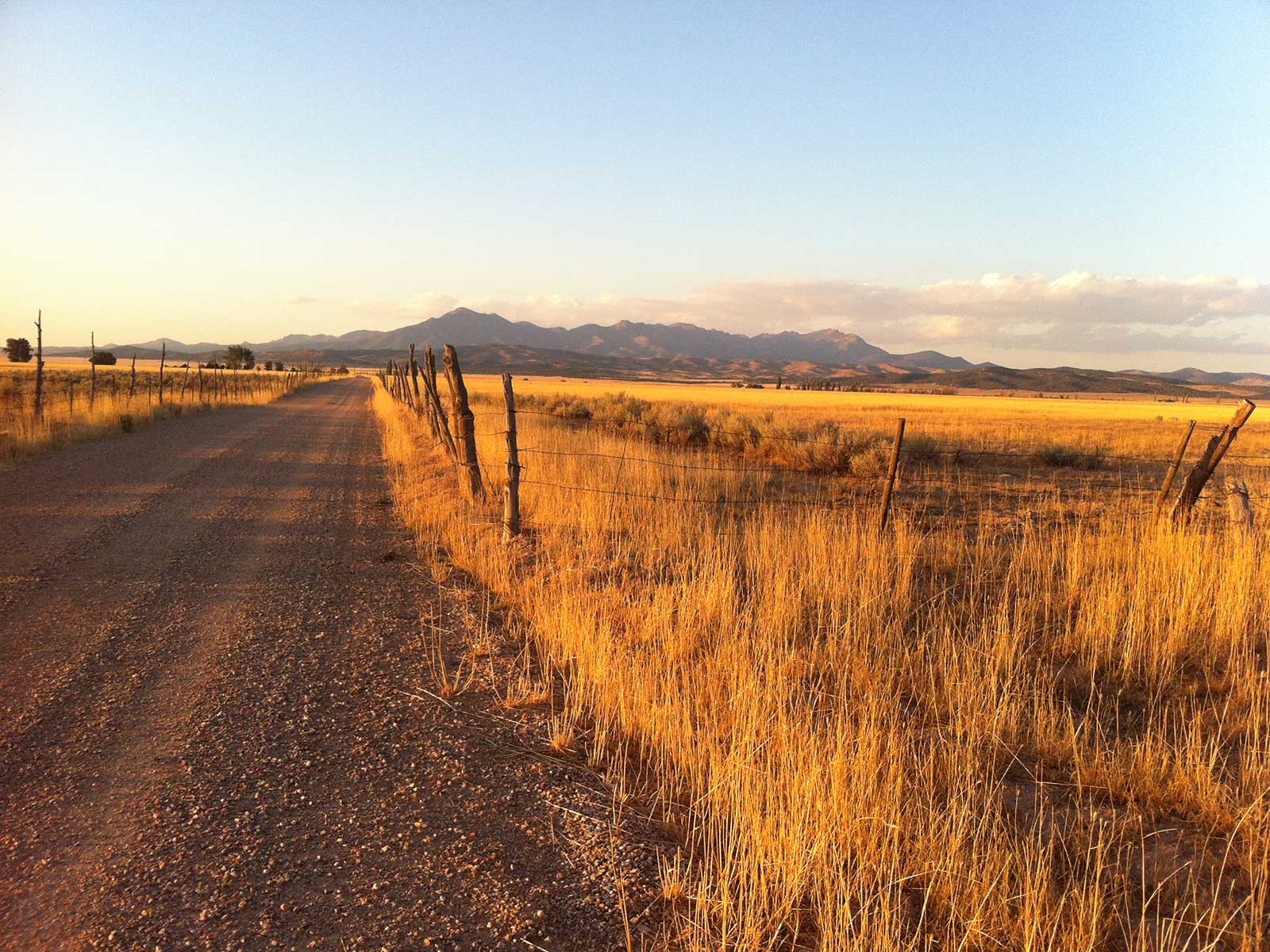 Dirt road and fence line through golden grassland at sunset