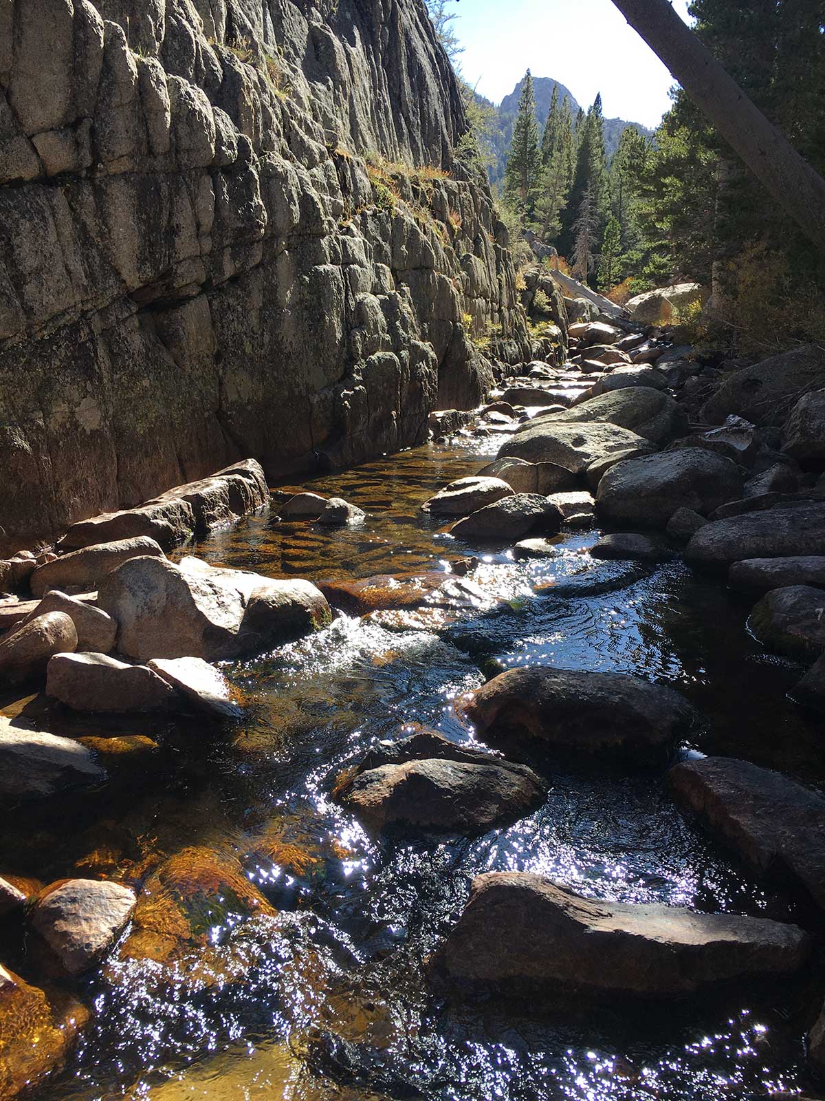 Sunlit mountain stream winding through narrow granite canyon
