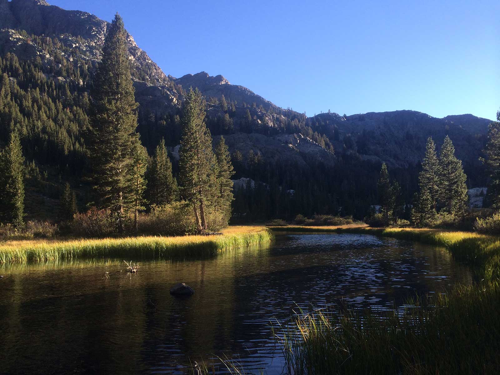 Calm alpine pond reflecting pine forest and mountain ridgeline