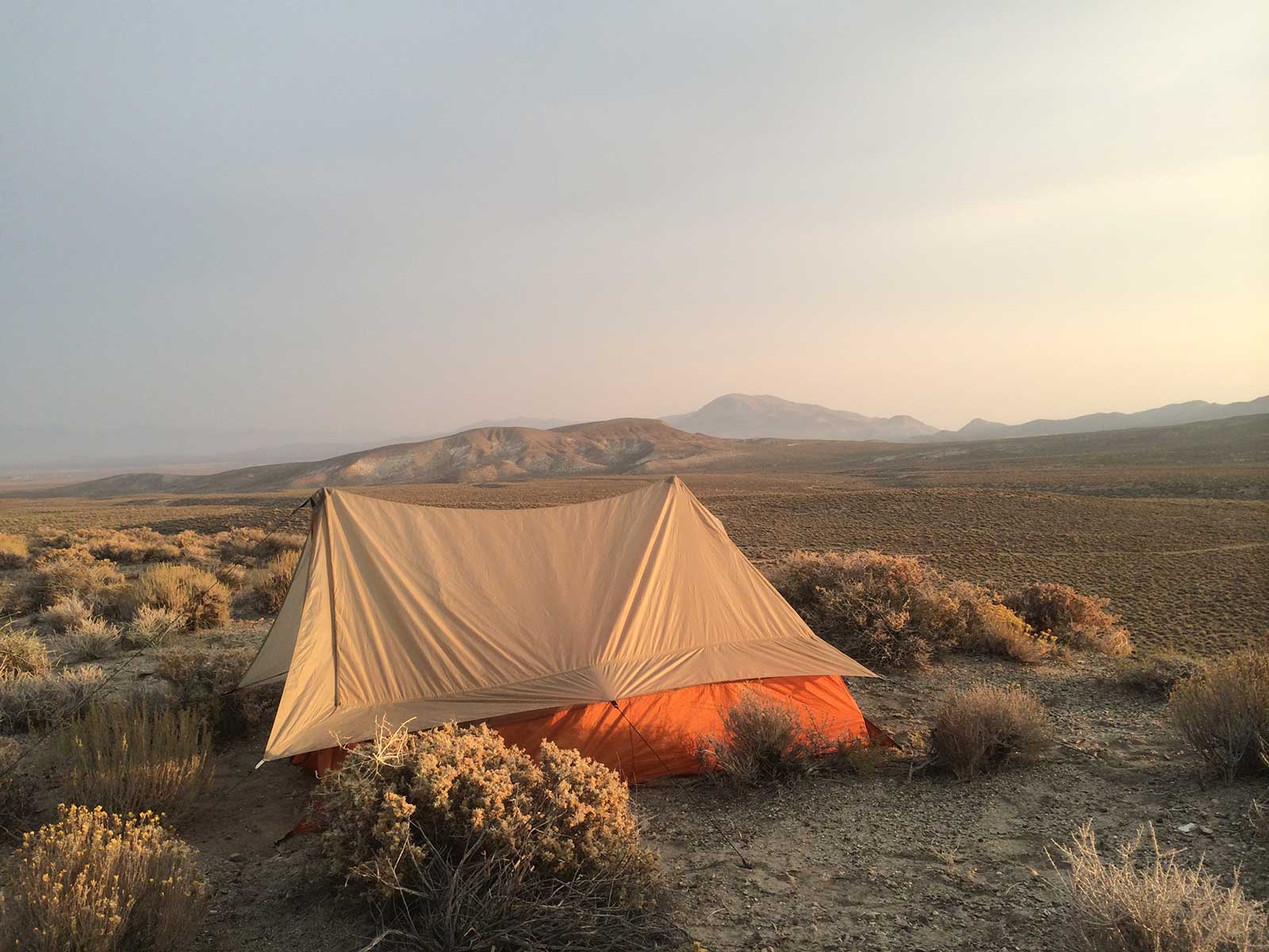 Orange tent pitched in vast sagebrush desert at dusk